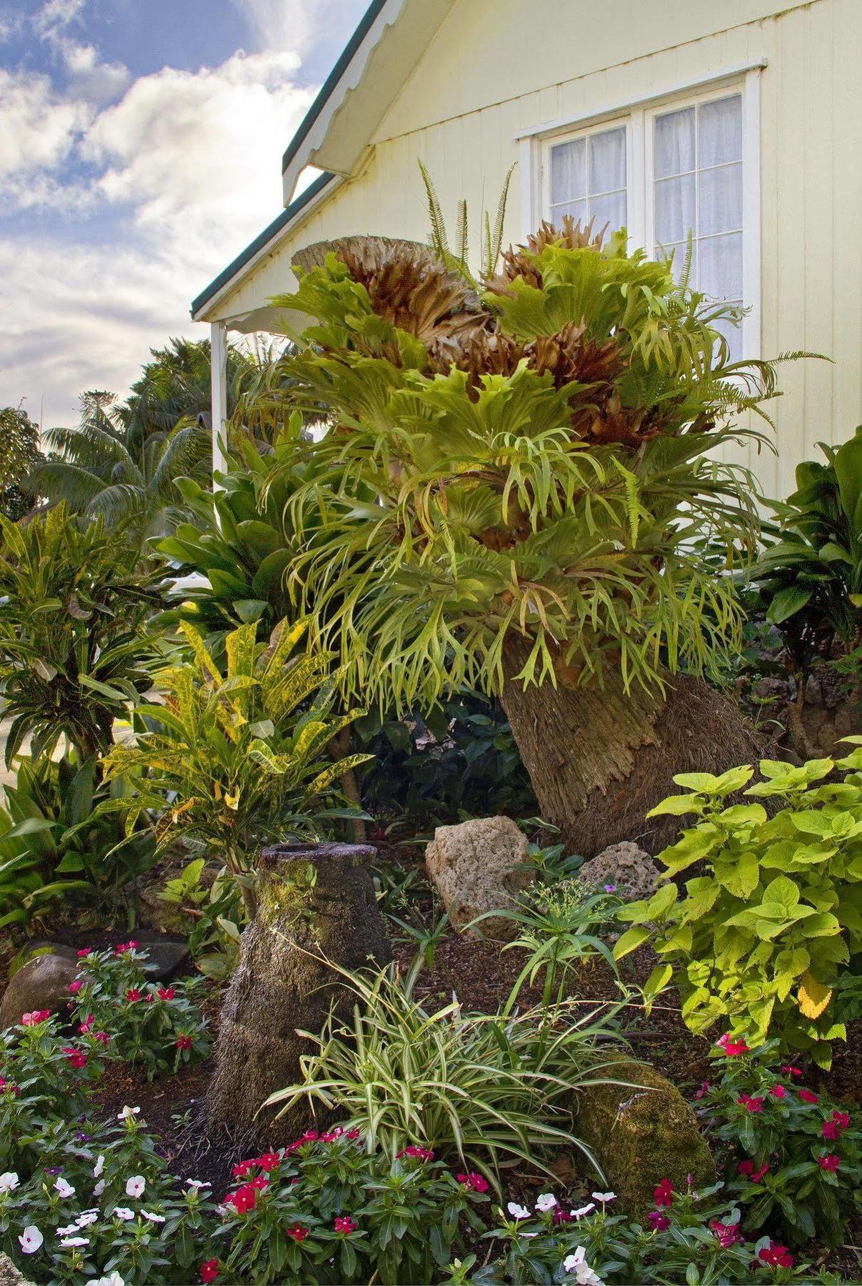 Castaway Norfolk Island Ξενοδοχείο Burnt Pine Εξωτερικό φωτογραφία